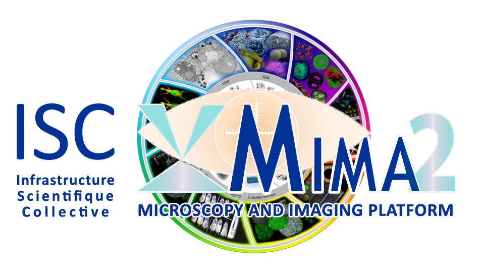Logo complet Mima2
